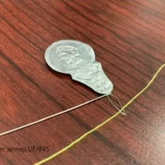 thumbnail for publication: Life Skills in a Minute: Threading a Needle